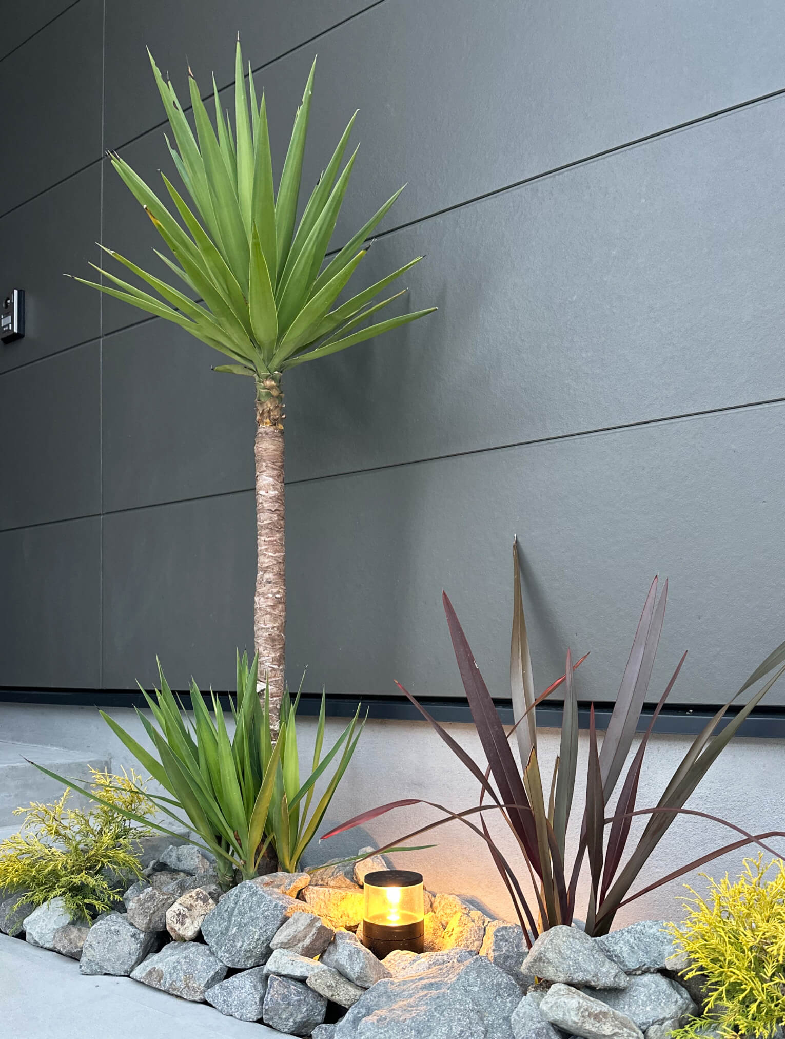 宮崎市G邸の植栽